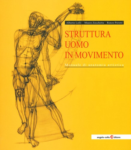 Struttura uomo movimento - uomo, in